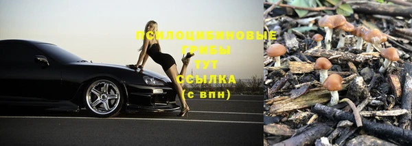 мдпв Михайлов