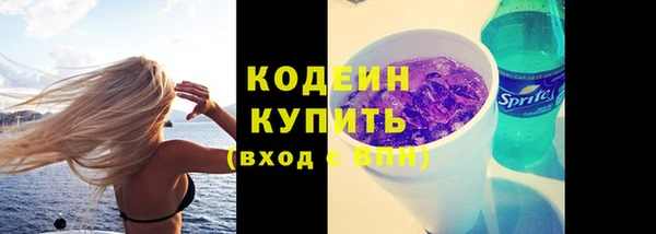 мдпв Михайлов
