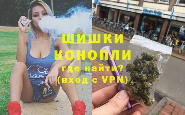 мдпв Михайлов