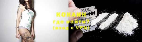 мдпв Михайлов