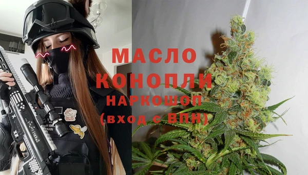 мдпв Михайлов