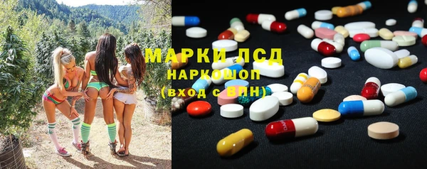 ГАЛЛЮЦИНОГЕННЫЕ ГРИБЫ Михайловск