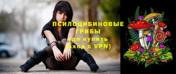 ГАЛЛЮЦИНОГЕННЫЕ ГРИБЫ Михайловск
