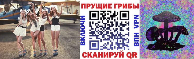 мориарти формула  гидра ТОР  Энем  наркошоп  Галлюциногенные грибы мухоморы 